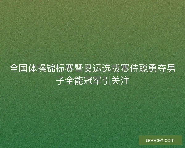 全国体操锦标赛暨奥运选拔赛侍聪勇夺男子全能冠军引关注